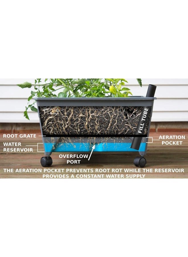 Emsco Group City Picker Raised Bed Grow Box – Self Watering and Improved Aeration – Mobile Unit with Casters - Slate - Image 4