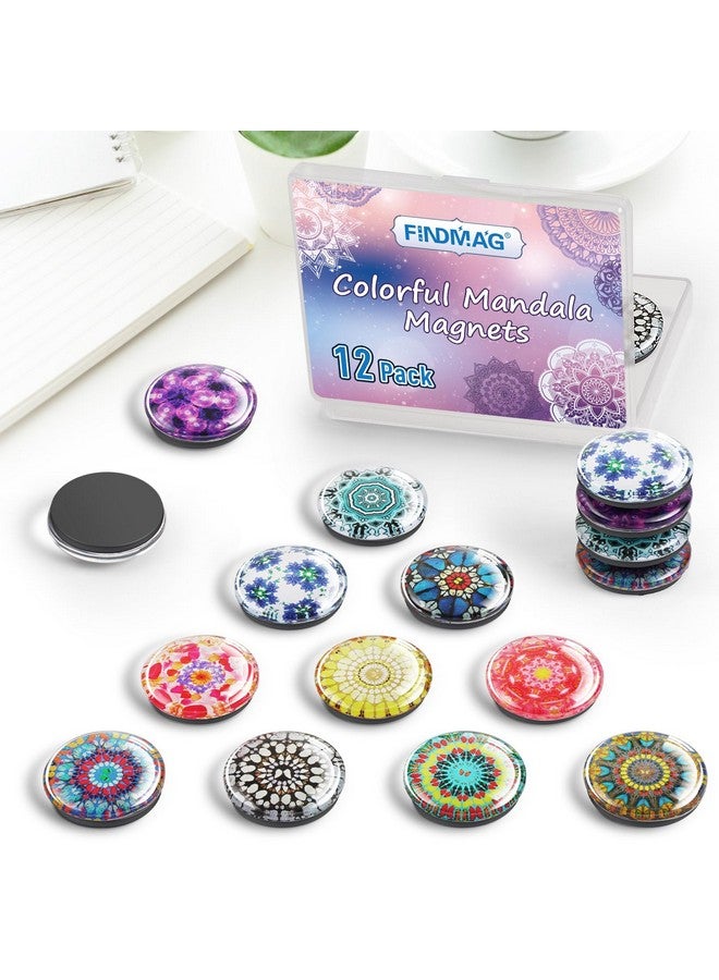 FINDMAG FINDMAG 12 Pcs Glass Fridge Magnets, Cute Fridge Magnet Sticker, Strong Refrigerator Magnets Heavy Duty, Small Magnets for Whiteboard, Classroom, Kitchen, Office, Home and Cabinet  - Image 3