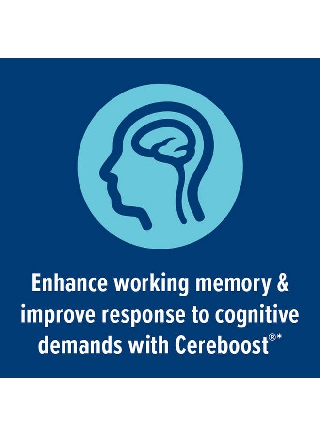 GNC Preventive Nutrition Focus And Memory 60 Capsules - Image 5