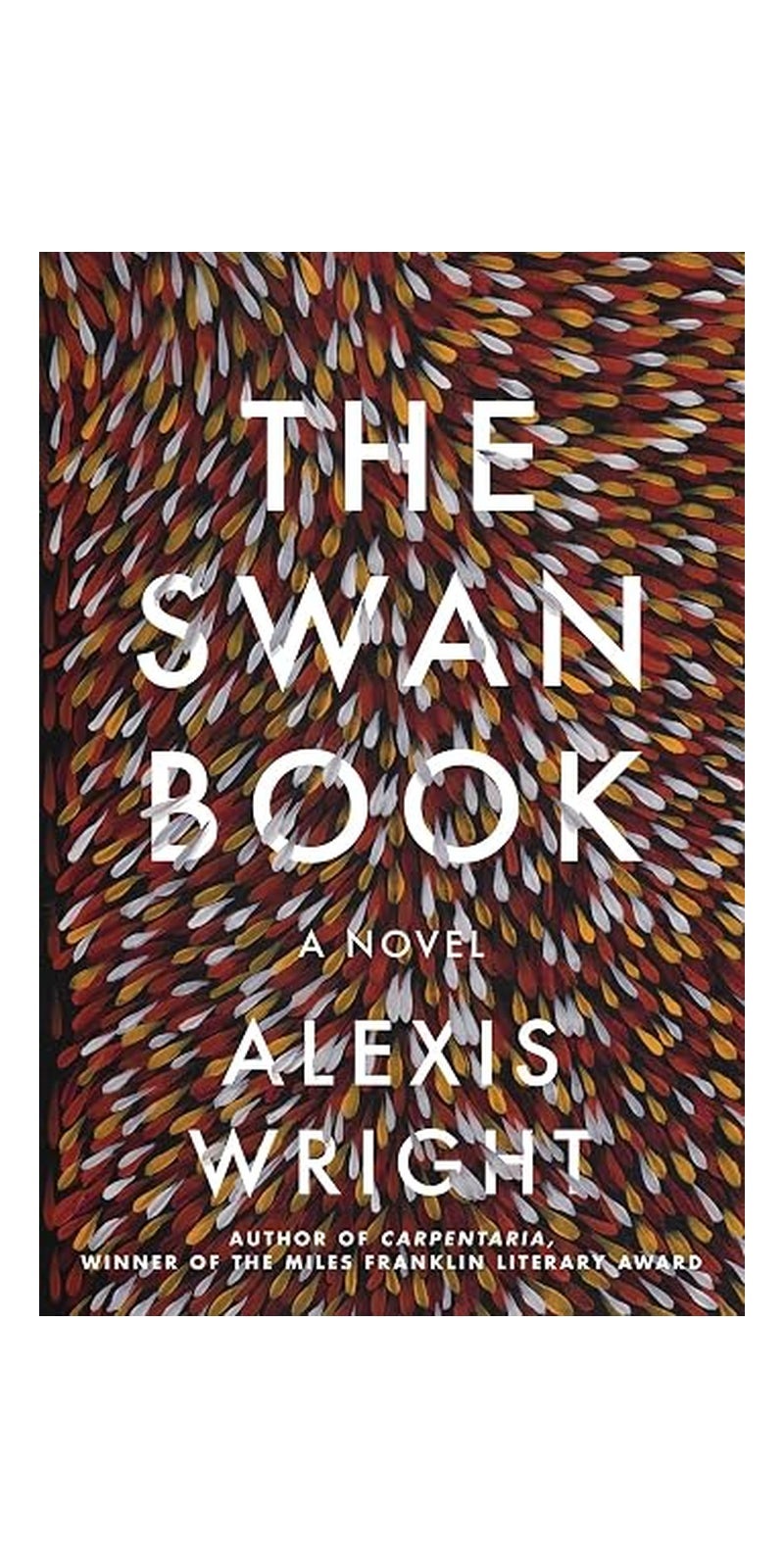 The swan book: a novel