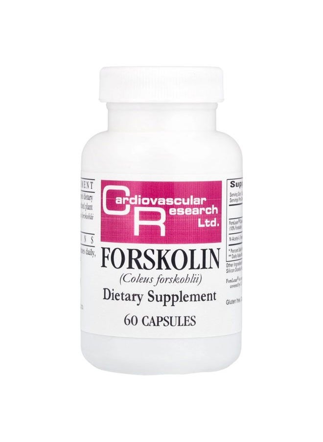 Cardiovascular Research - Cardiovascular Research Forskolin, White, 60 Count - Image 1