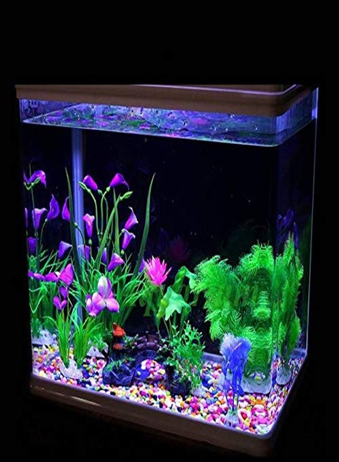 MyOwnGarden حصى متعدد الألوان من ماي أون جاردن، 1 كجم - ديكور للحدائق وأحواض السمك. حصى زاهية الألوان، متينة، ومثالية لتزيين المنزل والحديقة وأحواض السمك. حصى متعدد الألوان - نابضة بالحياة، ناعمة، وتدوم طويلاً. - Image 5