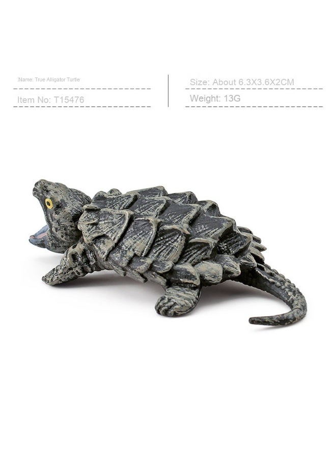 NIBEMINENT Realistic Amphibious Reptile Turtle Model