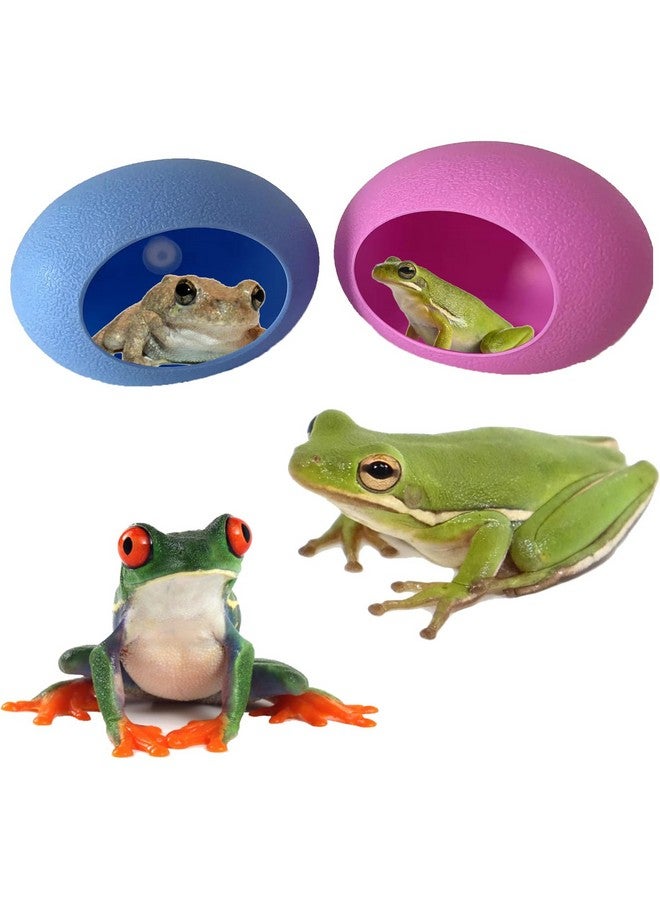 قطعتان من موائل الضفادع على شكل بيضة مع أكواب شفط - حوض ضفدع لطيف وحامل أطباق، مثالي لضفادع الأشجار والعلاجيم والشراغيف - Image 1