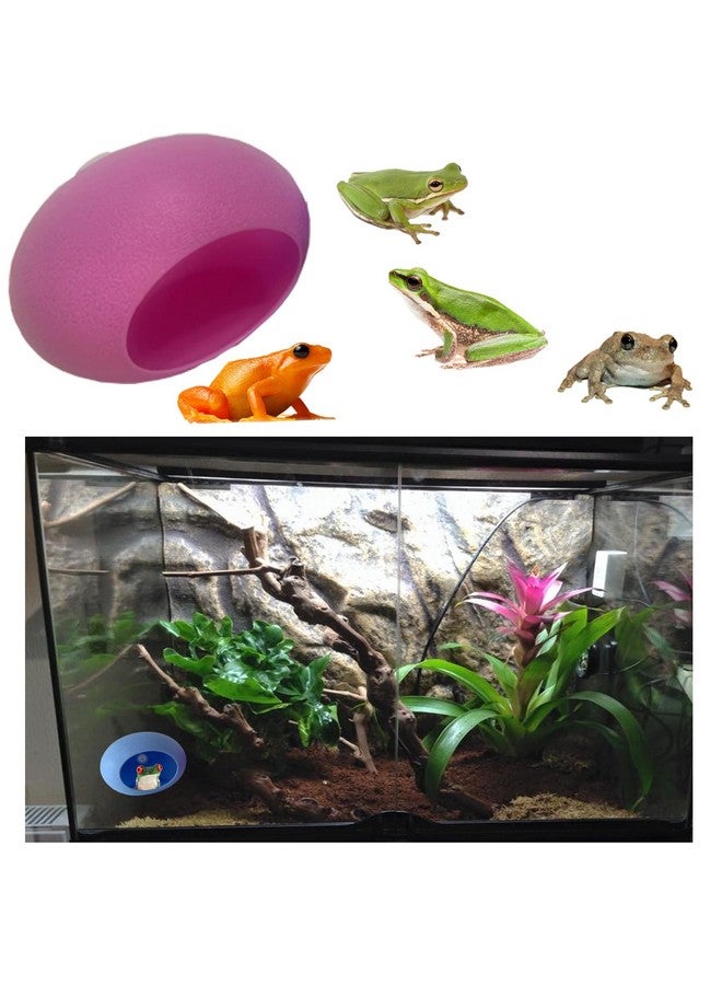 قطعتان من موائل الضفادع على شكل بيضة مع أكواب شفط - حوض ضفدع لطيف وحامل أطباق، مثالي لضفادع الأشجار والعلاجيم والشراغيف - Image 4