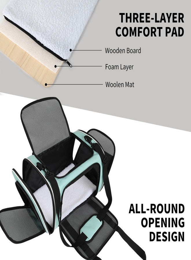 Yipincover, Cat Dog Carriers Soft-Sided, Pet Travel Carrier for Small Cats Dogs Under to15lbs, Soft-Solid Collapsible Carrier,(Medium,Green) - Image 2