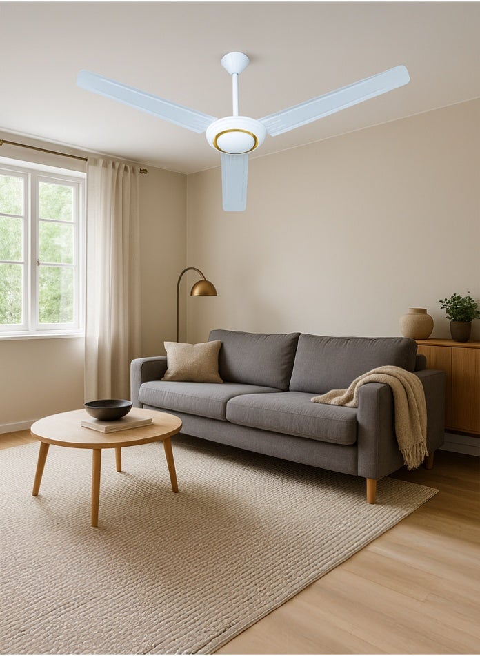 Vmax Premium Ceiling Fan with 3 Blades | 100% Copper Motor | 5 Speed Control | Energy Efficient | Quiet Operation 35dB | Modern Home & Office Ceiling Fan | Dustproof Metal Blades - Image 3