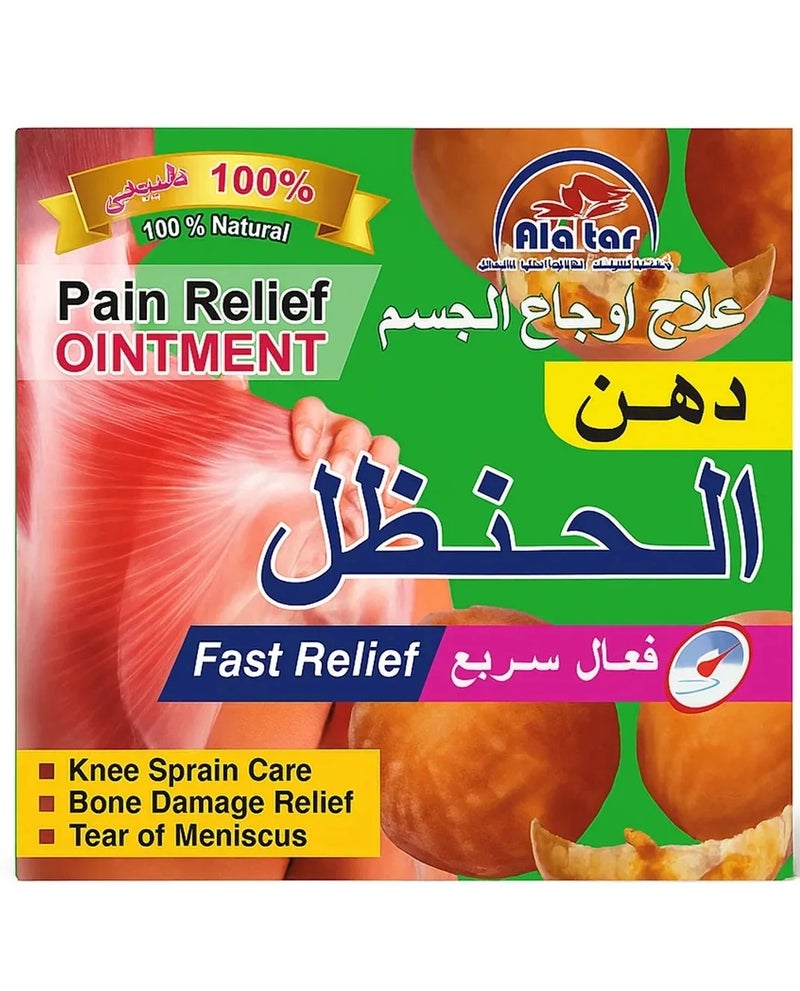 Dahan Hanzal Pain Relief Ointment - 100ml