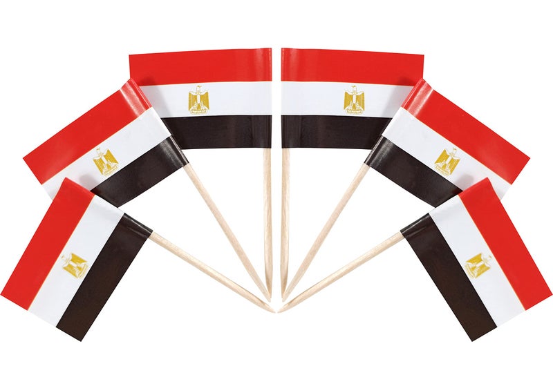 QQSD Egypt Toothpick Flag Egyptian Small Mini Cupcake Topper Flags100 pcs - Image 2