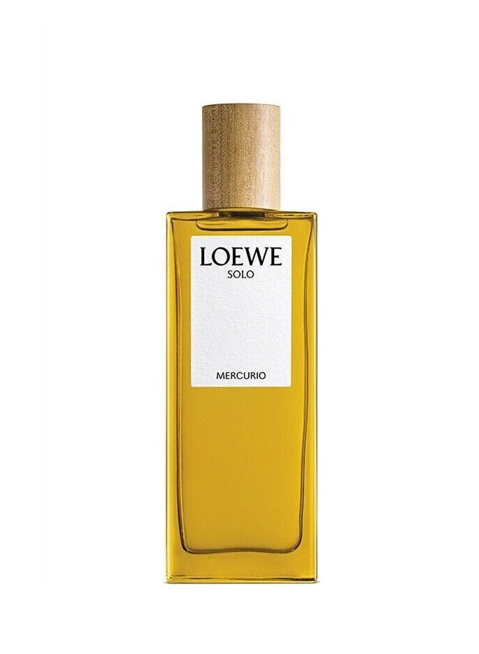 LOEWE Solo Mercurio Eau De Parfum100ml - Image 1
