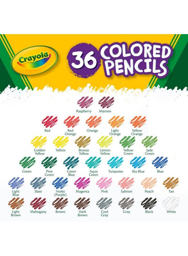 Crayola Colored Pencils (36ct), Kids Pencils Set, Arts & Crafts Supplies, Coloring Book Pencils, Gifts for Kids & Toddlers, Ages 3+ - Image 3
