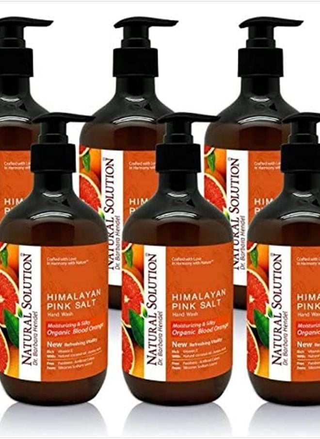 Natural Solution - Liquid Soap, Formulated with Organic Blood Orange & Himalayan Pink Salt, Nourishing and Moisturizing, Hand Wash - 14 oz Each (6 Pack) (8647B-6PK) - Image 1