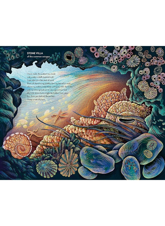 Home  - Image 3