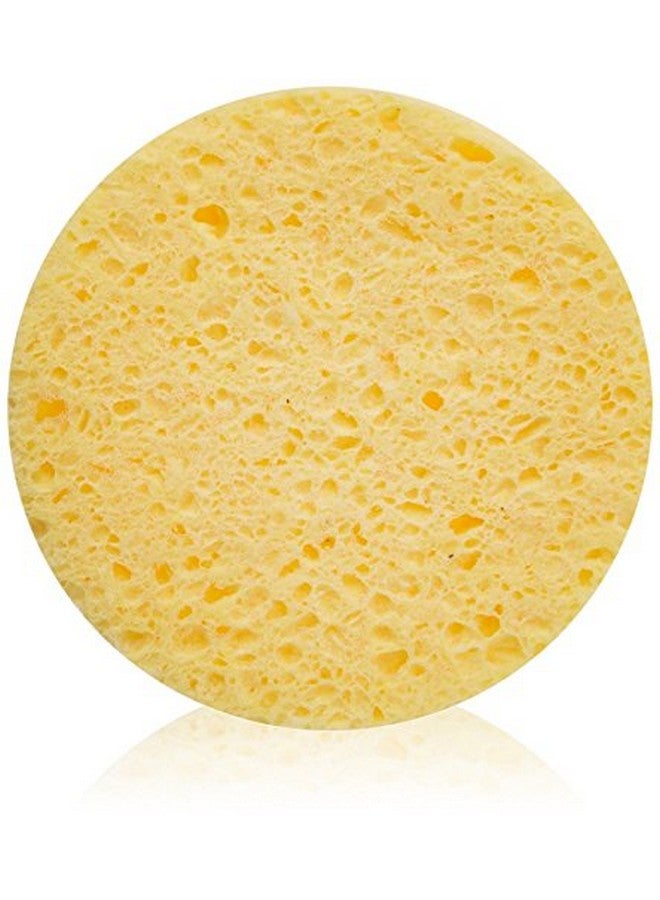 Fantasea Cellulose Cleansing Sponge 12Count Bags (Pack Of 2) - Image 1