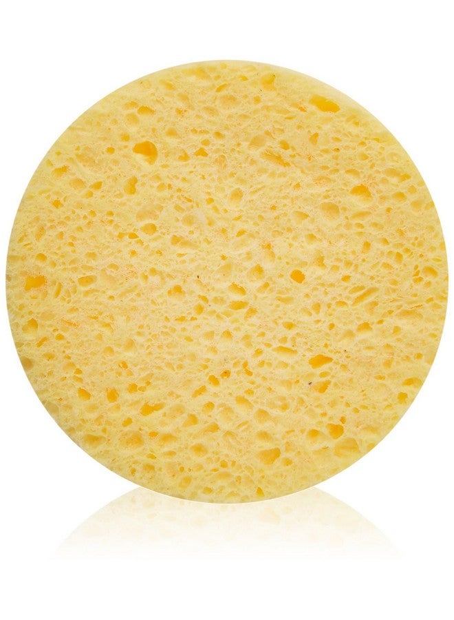 Fantasea Cellulose Cleansing Sponge 12Count Bags (Pack Of 2) - Image 2