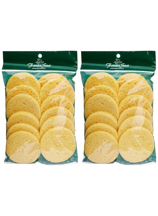 Fantasea Cellulose Cleansing Sponge 12Count Bags (Pack Of 2) - Image 3