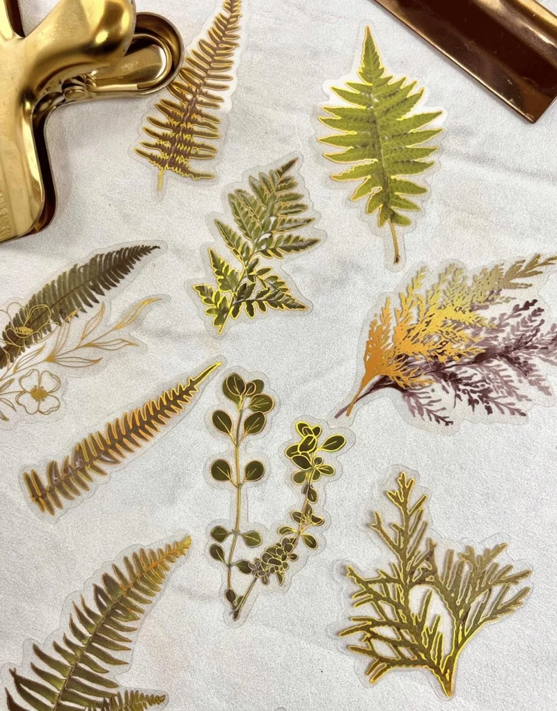 Kağıt Gemi Dükkan Paper Ship Dükkan Nature Notes Series The Joy Of Fern Plants 40 Pieces Gold Gilded Transparent Pet Sticker/bullet Journal