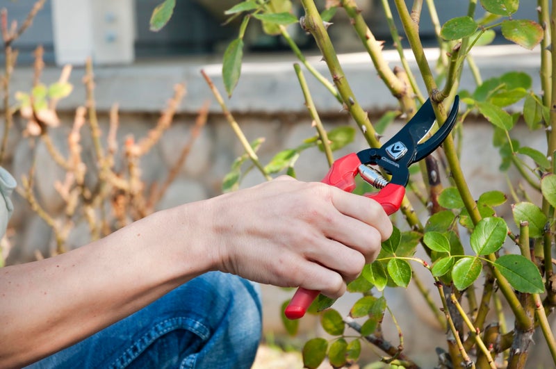 Corona BP 3214D ComfortGEL Bypass Hand Pruner, 3/4-inch cut , Red - Image 4