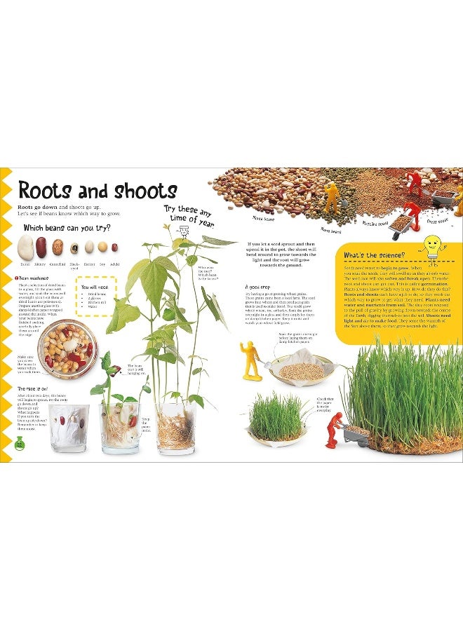 The Simple Science Activity Book : 20 Things to Make and Do at Home to Learn About Science - Image 5