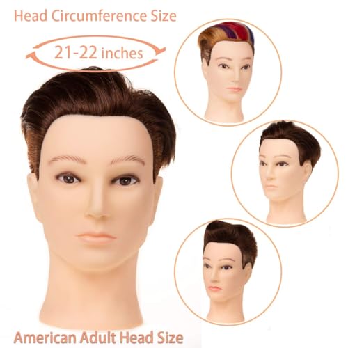 Stancia Mannequin Head, Male Mannequin Head with 100% Human Hair, 14" Barber Hairdresser Training Doll Manikin Head for Hair Styling and Practice (Dark Brown) - Image 3