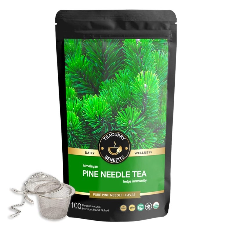 TEACURRY Himalayan Pine Needle Tea (1 Month Pack | 100 Grams + Infuser) - Helps with Hair, Skin, Eyes, Varicose & Obesity - Image 1