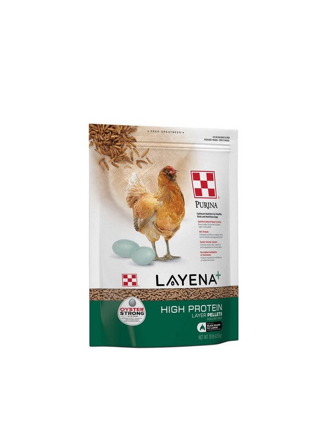 PURINA Purina Layena + High Protein Layer Chicken Feed (10 Pound) - Image 1