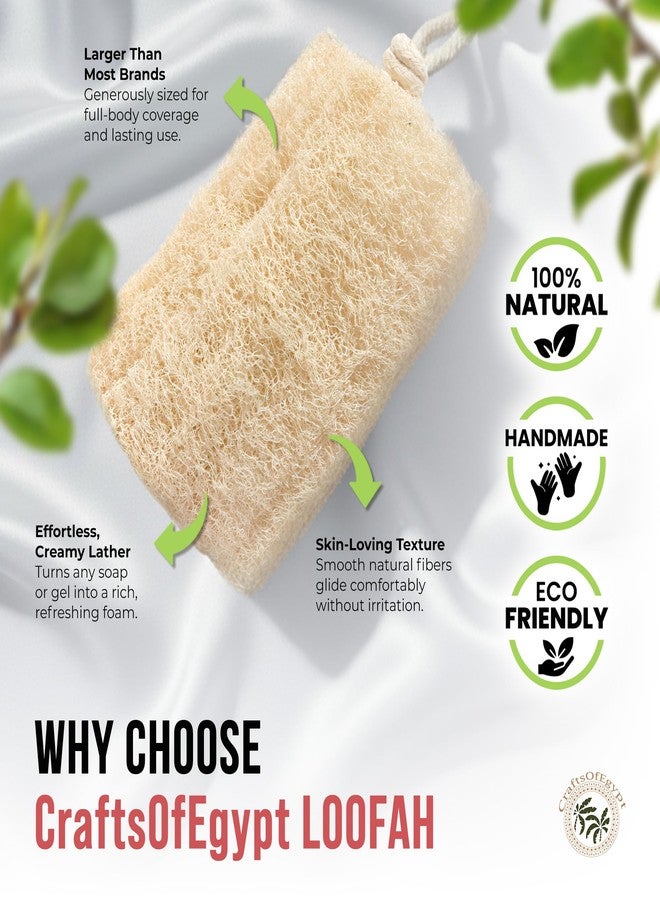 CraftsOfEgypt Natural Loofah Sponge - Egyptian Luffa Body Scrubber Pack of 1 for Men & Women, Natural Bath & Shower Loofah Exfoliator, All Natural Loofah Sponges for Face Back & Body, 6" x 6" - Image 3