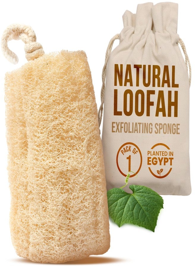 CraftsOfEgypt Natural Loofah Sponge - Egyptian Luffa Body Scrubber Pack of 1 for Men & Women, Natural Bath & Shower Loofah Exfoliator, All Natural Loofah Sponges for Face Back & Body, 6" x 6" - Image 1