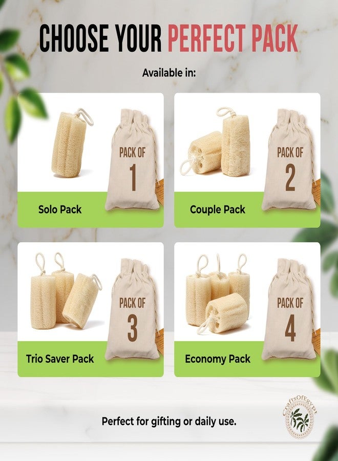 CraftsOfEgypt Natural Loofah Sponge - Egyptian Luffa Body Scrubber Pack of 1 for Men & Women, Natural Bath & Shower Loofah Exfoliator, All Natural Loofah Sponges for Face Back & Body, 6" x 6" - Image 4