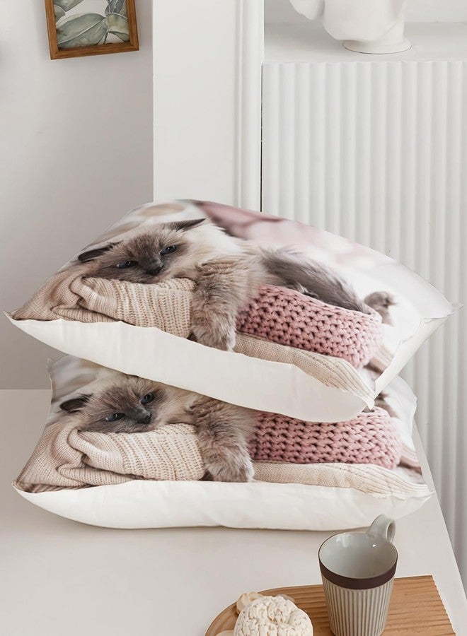 AILONEN Cat Duvet Cover Set, Twin Size, Kawaii Pet Animal Cat Lover Comforter Cover Set, 3 Pieces, 1 Quilt Cover and 2 Pillowcases - Image 3