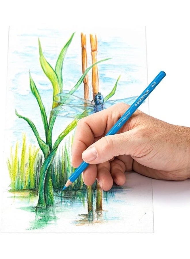 Staedtler Design Journey 14610C Box Of 24 Assorted Watercolour Pencils - Image 2