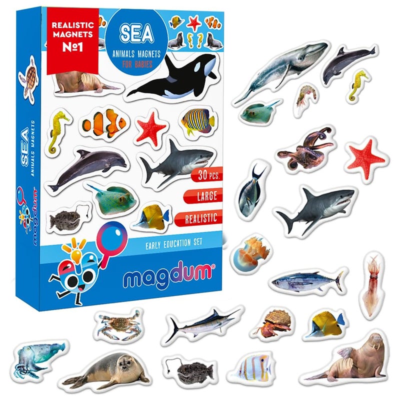 Fridge Magnets for Toddlers  30 SEA Photo Kids Magnets for Fridge  Toddler Magnets for Refrigerator  Magnetic Animals  Fridge Magnets for Kids  Animal Magnets  Toddler Fridge Magnets