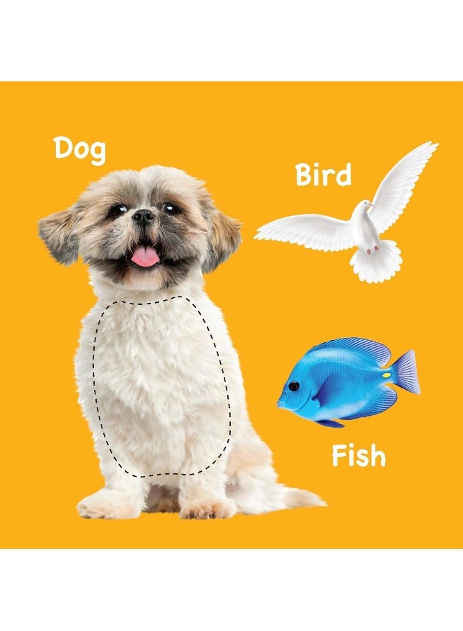 Touch and Feel First Words - Image 5