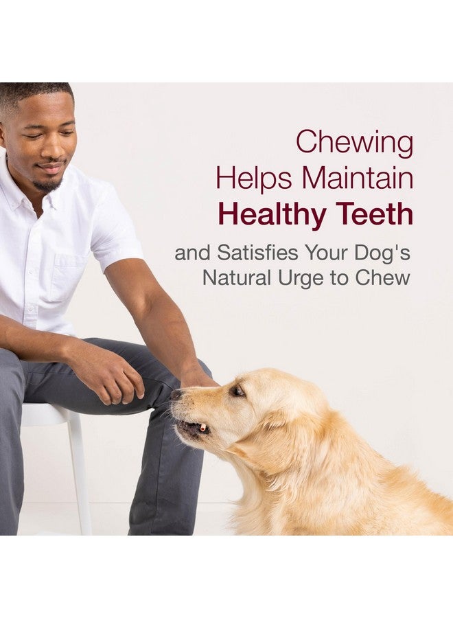 SmartBones SmartSticks, Treat Your Dog to a Rawhide-Free Chew Made With Real Chicken and Vegetables, 10 sticks - Image 5