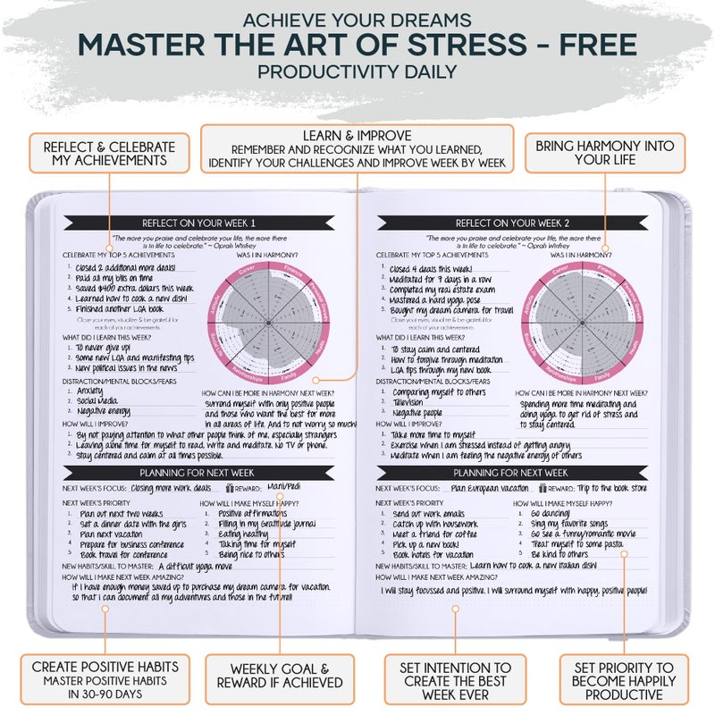 Freedom Mastery - Adhd Daily Planner, Self Care Personal Gratitude Journal to Increase Productivity & Success in Life, Include Foldable Vision Board - White Sun - Image 5