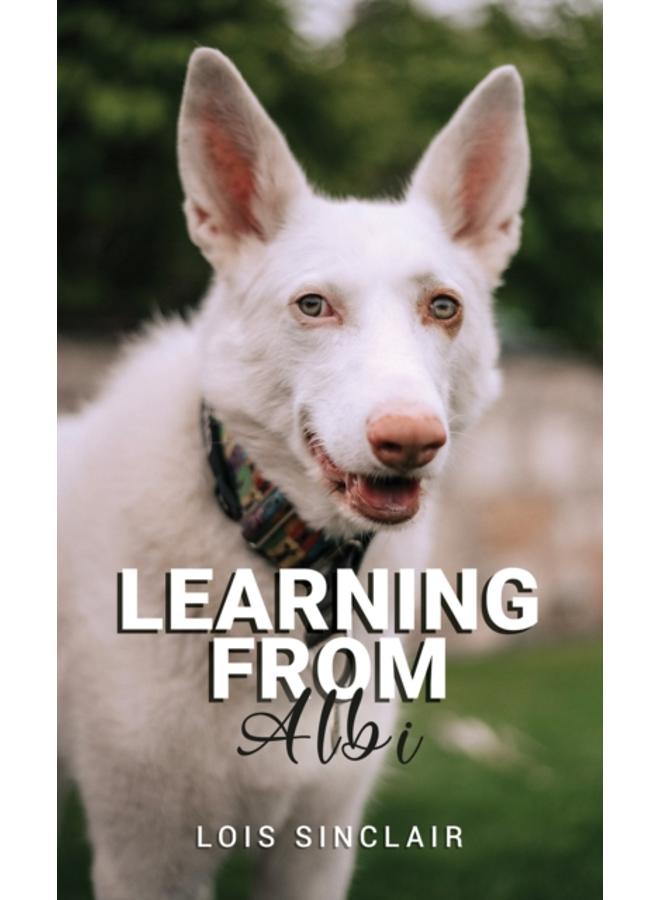 Learning from Albi 