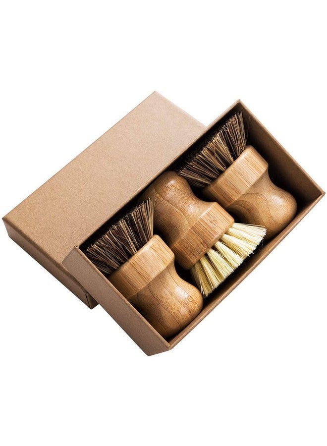 GREENTH PRO فرشاة وعاء النخيل - فرشاة دائرية من الخيزران 3 عبوات فرشاة صحون صغيرة فرشاة تنظيف طبيعية فرشاة متينة مع ألياف الاتحاد وألياف تامبيكو لتنظيف الأواني والمقالي والخضروات - Image 1