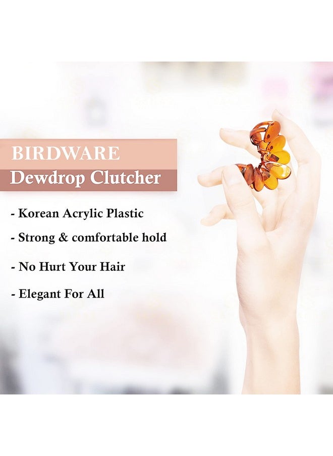 BIRDWARE Hair Clips For Women 4Pcs Claw Clips Butterfly Clips Hair Accessories For Girls Fancy Korean Clutch Stylish Hair Clip Women Medium Hair Clutchers Shell And Black Colour  - Image 5