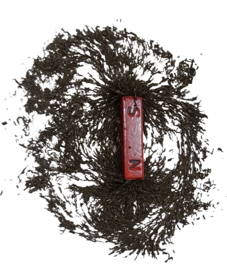 Amtrox Iron Filling Powder Dust Type for Science Experiment (100 gm Pack) - Image 3