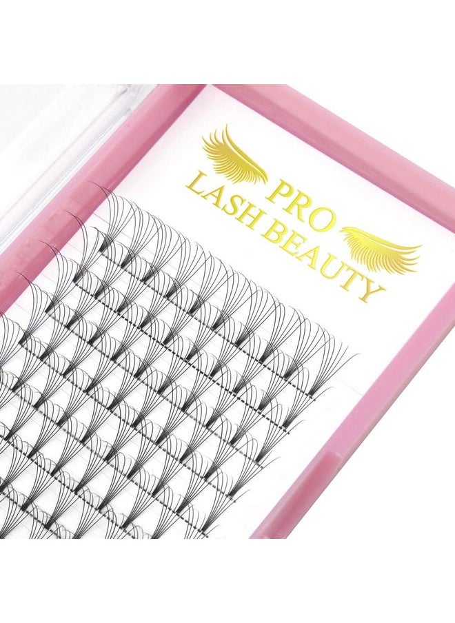 PRO LASHBEAUTY Premade Fans Eyelash Extensions 6D-D-0.10-14 Short Stem Premade Volume Eyelash Extensions .07 .10 C D Curl Pre Made Lash Fans 9 To 20 Mm Volume Lash Extensions (6D-D-0.10,14Mm)  - Image 1