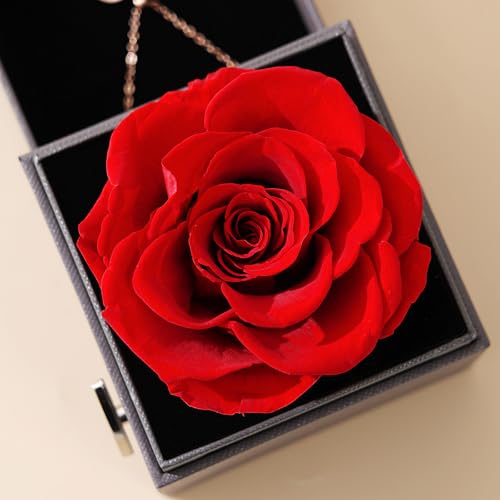 ADDWel Preserved Rose Gifts for Mom Birthday – Forever Real Rose Music Box for Women – You are My Sunshine Gifts for Mom Grandma Wife Girlfriend – Eternal Roses Musical Box with I Love You Necklace - Image 4
