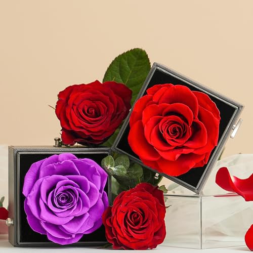 ADDWel Preserved Rose Gifts for Mom Birthday – Forever Real Rose Music Box for Women – You are My Sunshine Gifts for Mom Grandma Wife Girlfriend – Eternal Roses Musical Box with I Love You Necklace - Image 2
