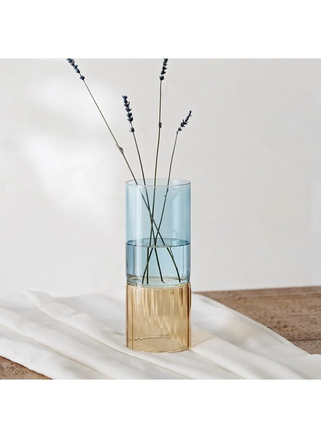 هوم بوكس مزهرية ريفا زجاجية ١٠ × ١٠ × ٢٥ سم