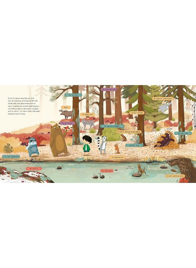 Take me Home: Forests of the World  - Image 2