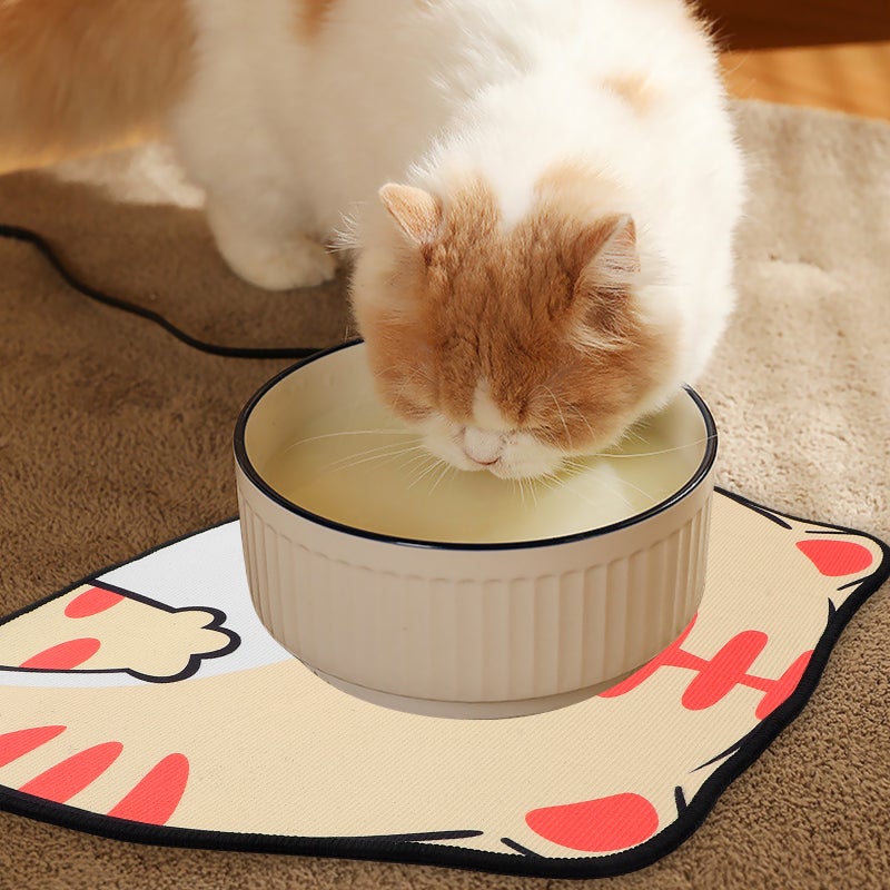 2pcs Dog Feeding Mat Quick Food Mat Pet Water Dispenser Mat Water Bowl Mat - Image 4