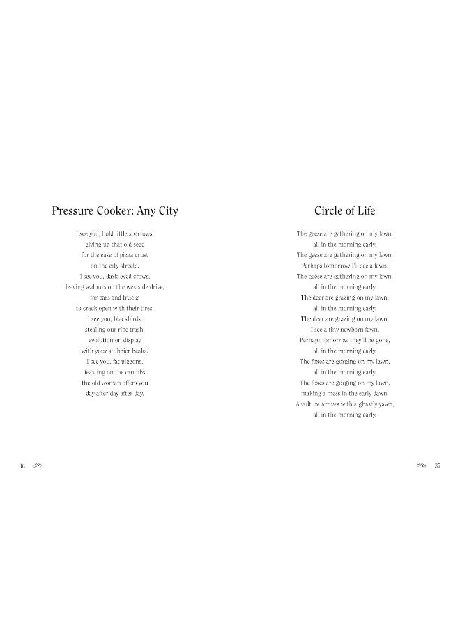 In and Out the Window  - Image 4