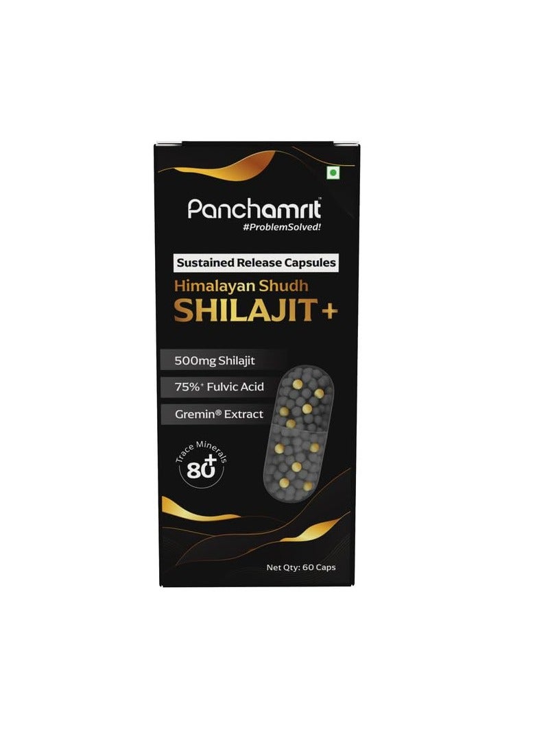 Panchamrit 8 hrs Sustained Release Capsule 500mg Himalayan Shilajit+ With Gremin Extract,75% Fulvic Acid,80+ Trace Minerals 60 caps - Image 1