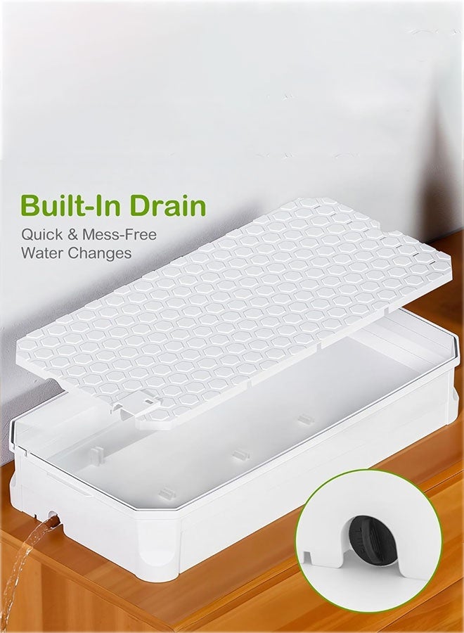 طقم خزان سلحفاة كبير مع ضوء منصة تشمس متعدد الوظائف، فلتر مياه، ذراع دش مطري، نبات، حجر، منزلق - Image 4