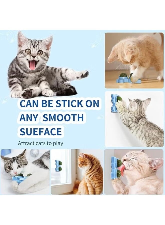 Dougez Edible Wall Catnip Ball, Indoor Rotatable Interactive Double Ball for Cats Chew Toy, Treats for Cat Teeth Clean Cat Nips Organic Ball,Catnip Cat Snacks,Clean Teeth Cat Toy - Image 5