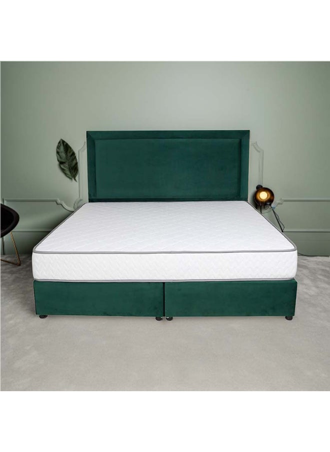Bed and Mattress Zone Velvetine Upholstered Bed 193 X 90 Single Size Green Color, Mattress Size-190x90cm (Mattress sold separately)  - Image 5